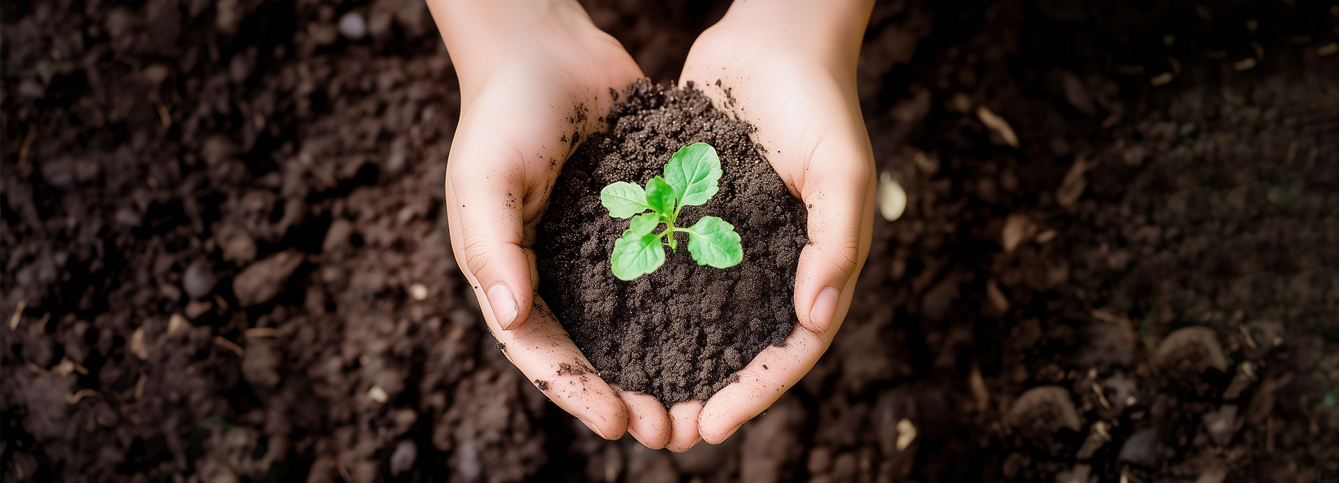 環(huán)保新材料